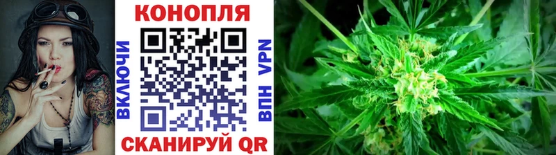 цены   Алагир  Конопля VHQ 